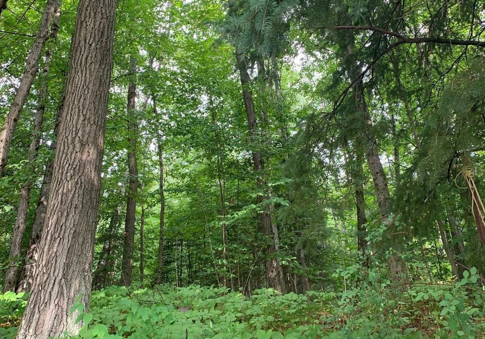 198-gaebel-road-bancroft-ontario-x12559612
