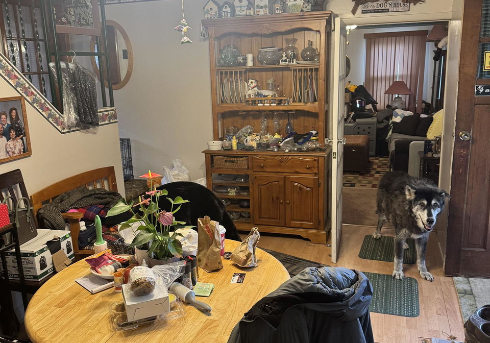 361-nelson-street-stratford-ontario-x12564192