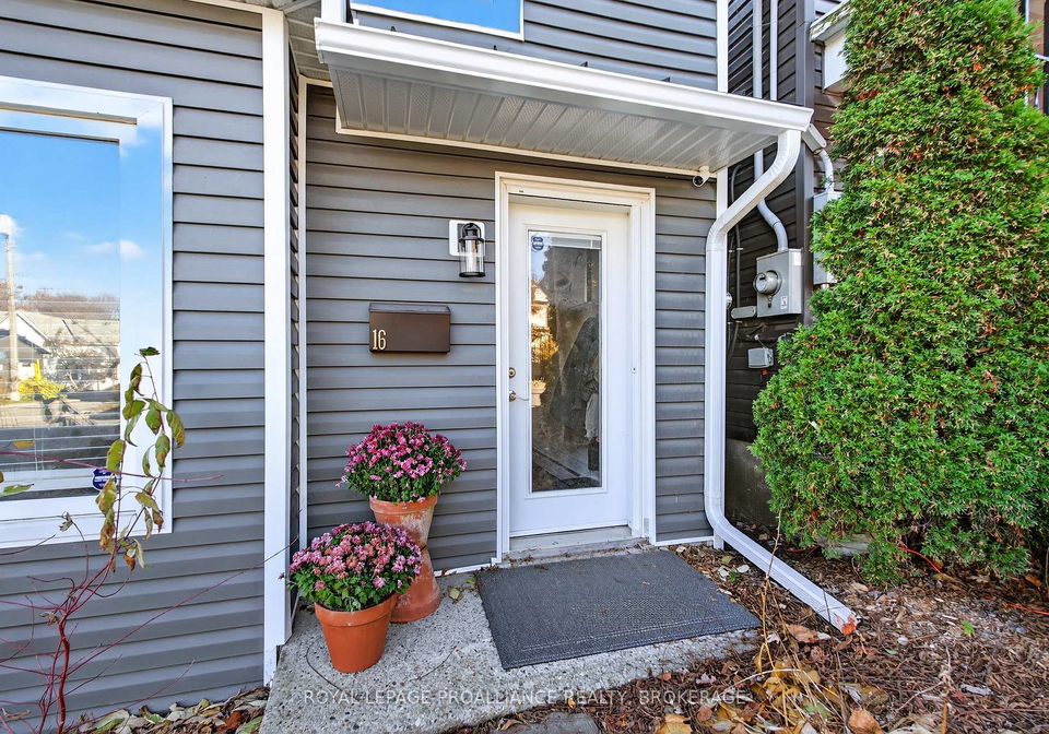 16-pine-street-kingston-ontario-x12566558