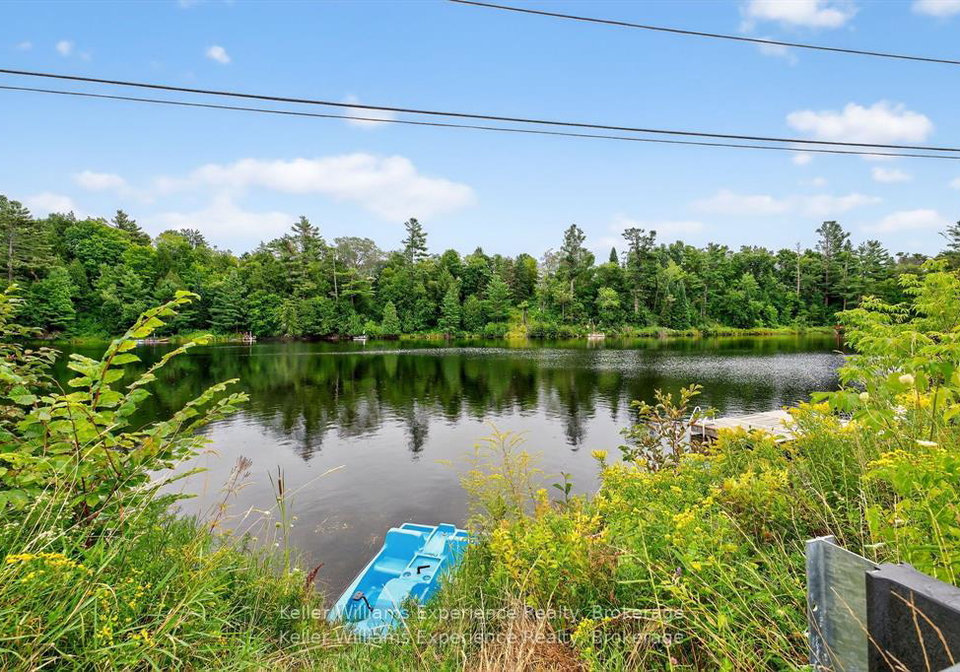 194-ann-street-bracebridge-ontario-x12566768