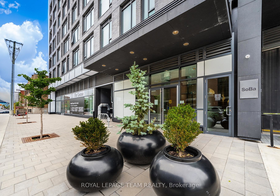 203-catherine-street-ottawa-ontario-x12567380