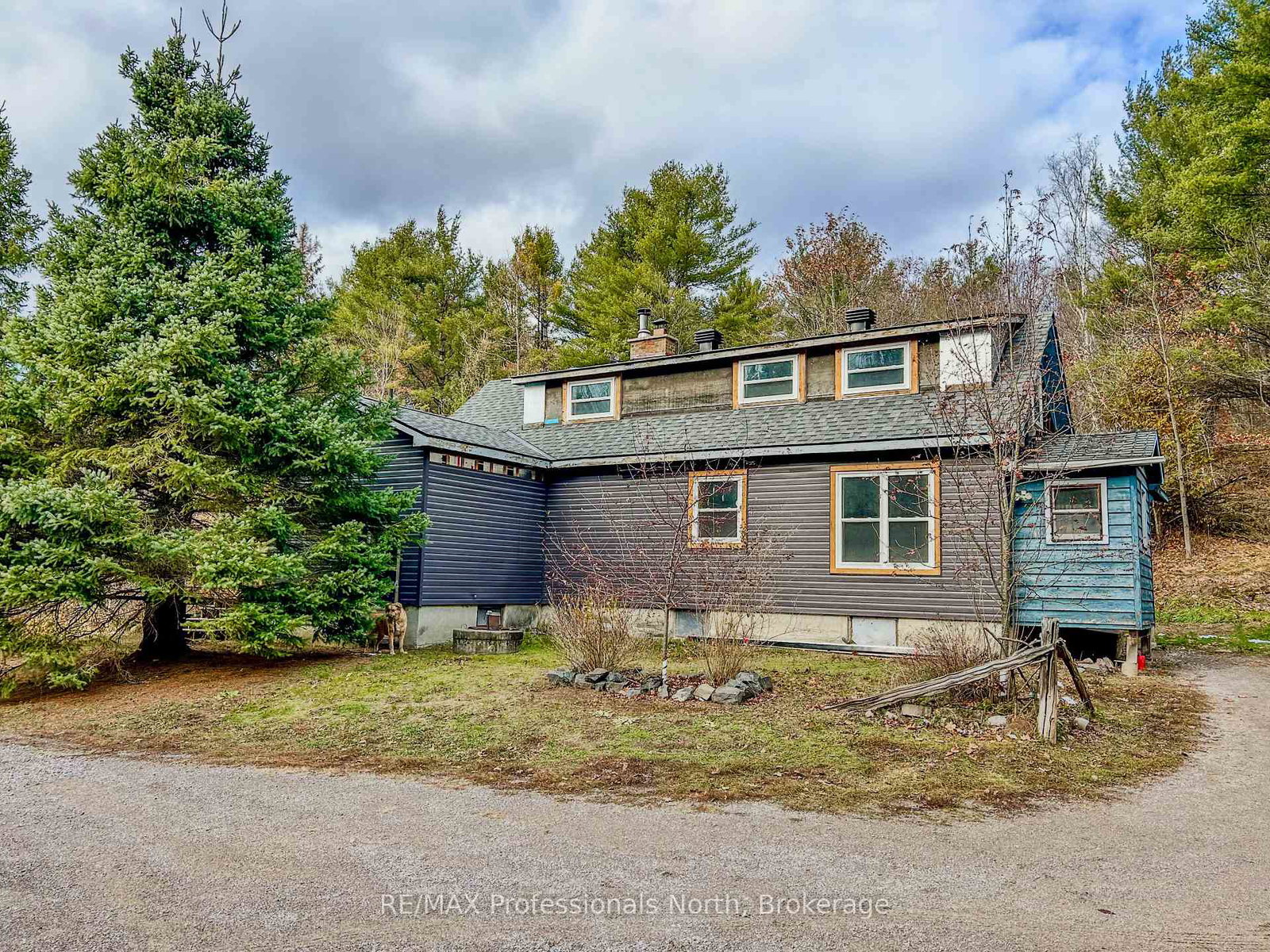 89-jack-lake-road-north-kawartha-ontario-x12571634