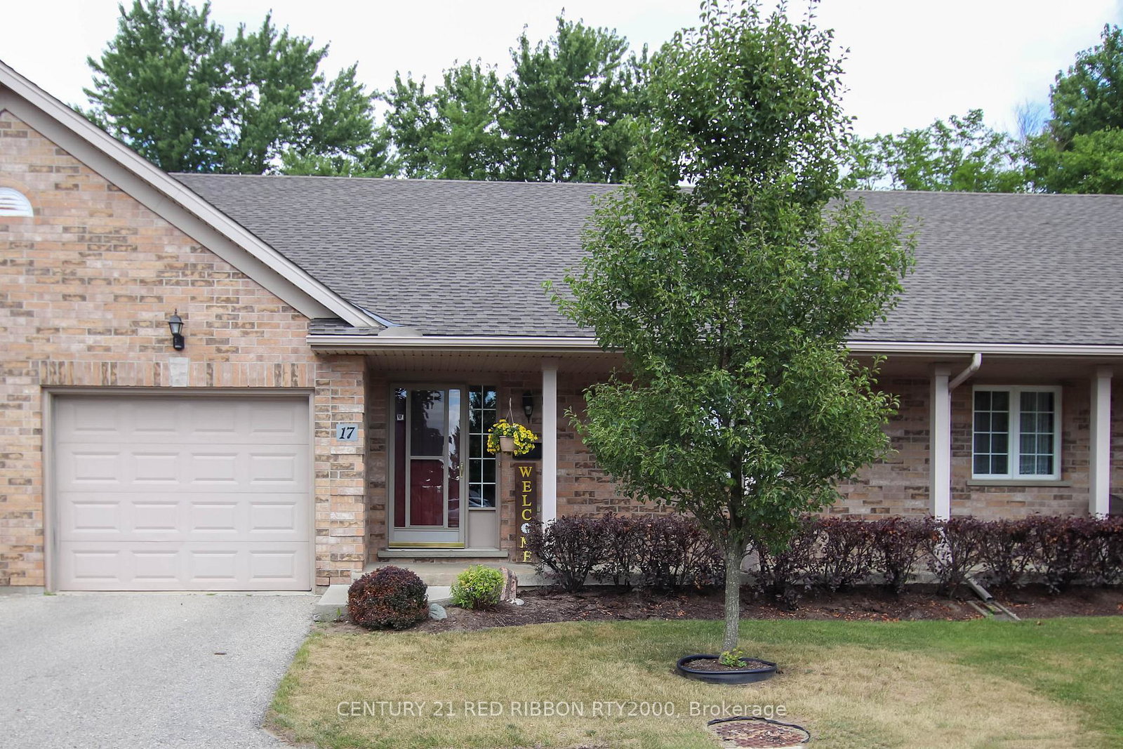 375-e-scott-street-e-strathroycaradoc-strathroy-caradoc-ontario-x12572314