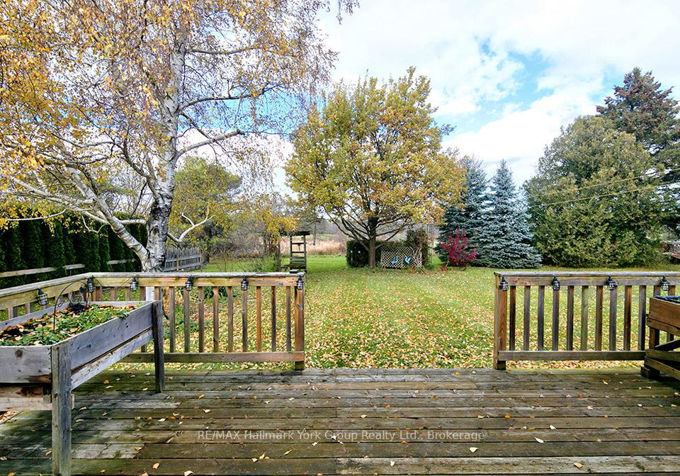 448-nelson-street-w-meaford-ontario-x12573600
