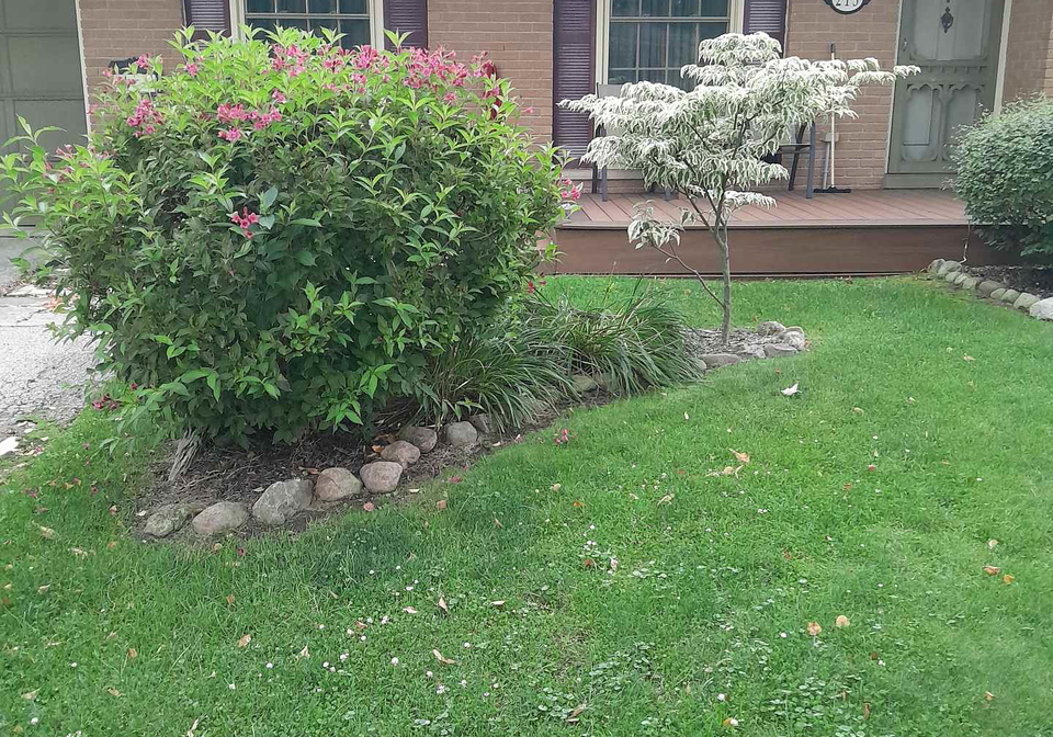 215-west-street-central-elgin-ontario-x12577634
