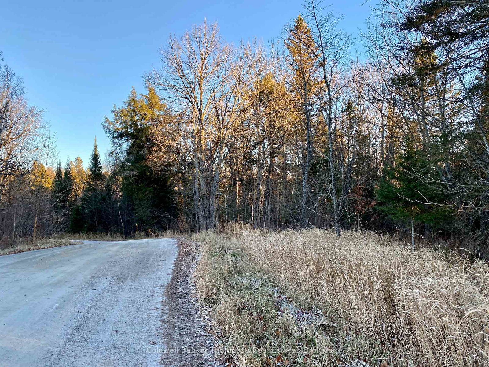 46-spur-road-e-parry-sound-remote-area-ontario-x12583018