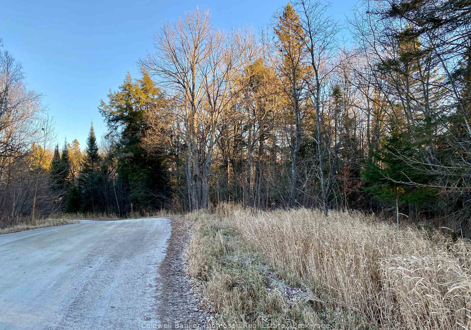 46-spur-road-e-parry-sound-remote-area-ontario-x12583018