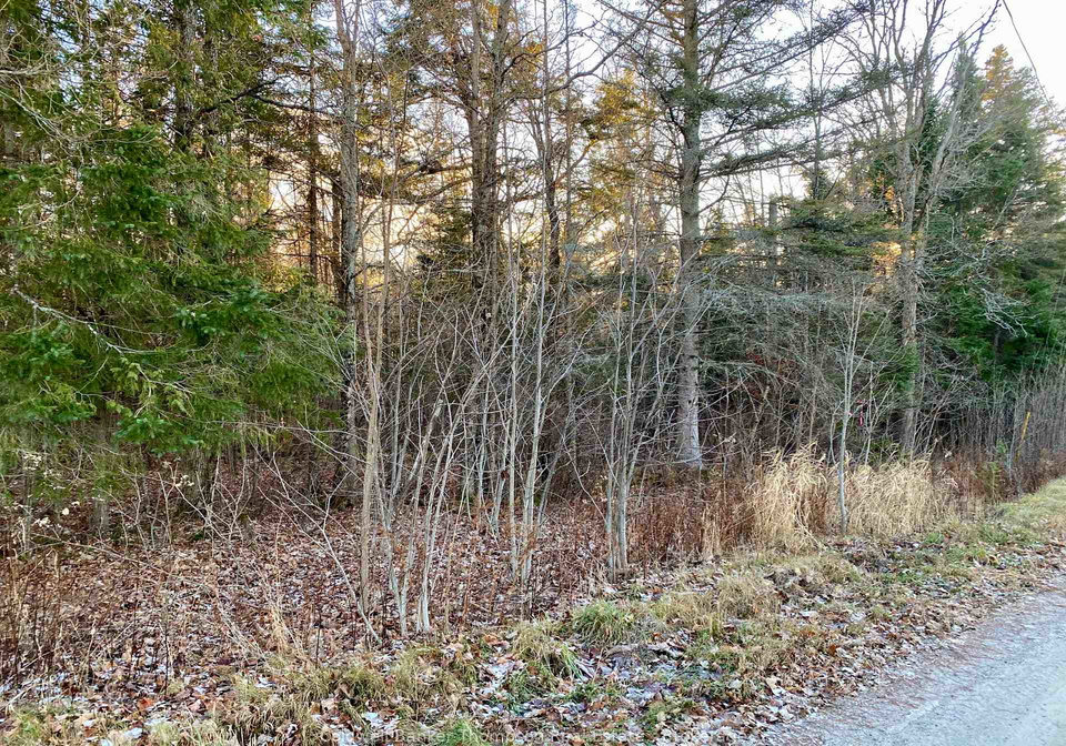 46-spur-road-e-parry-sound-remote-area-ontario-x12583018