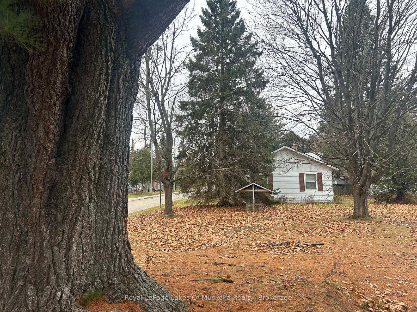 66-front-street-bracebridge-ontario-x12584764