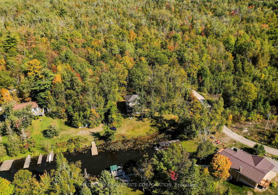2370-julia-shore-road-e-douro-dummer-ontario-x12594354