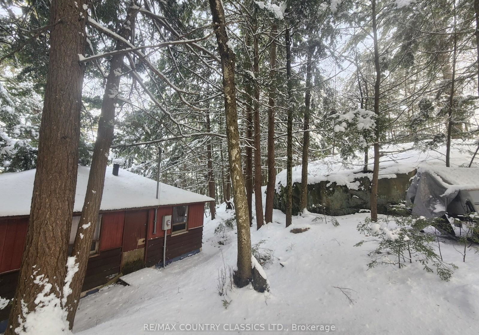 34-kingfisher-lane-north-kawartha-ontario-x12594374