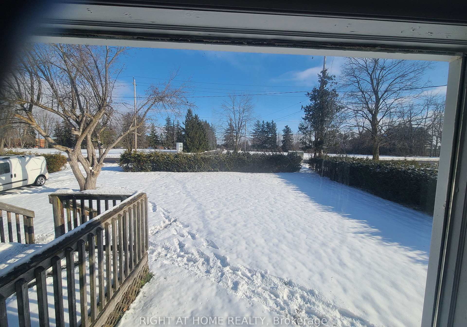 229-angeline-street-s-kawartha-lakes-ontario-x12598420