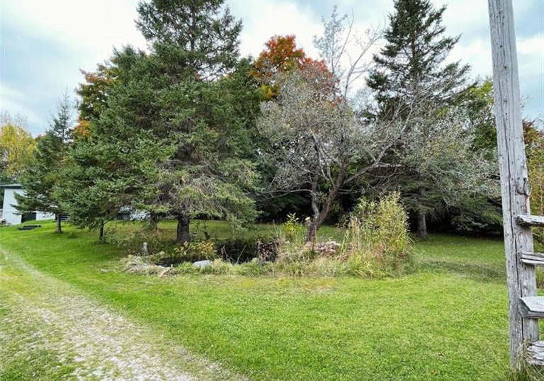 813016-east-back-line-e-grey-highlands-ontario-x12602490