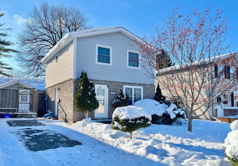 46-barwood-crescent-kitchener-ontario-x12607342