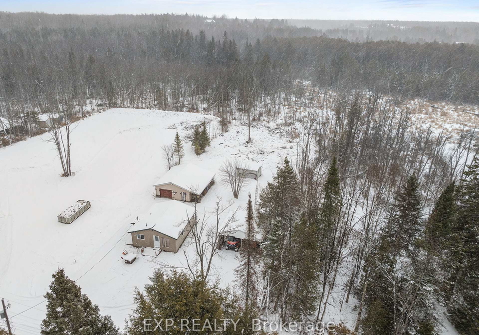 41-river-road-kawartha-lakes-ontario-x12610134