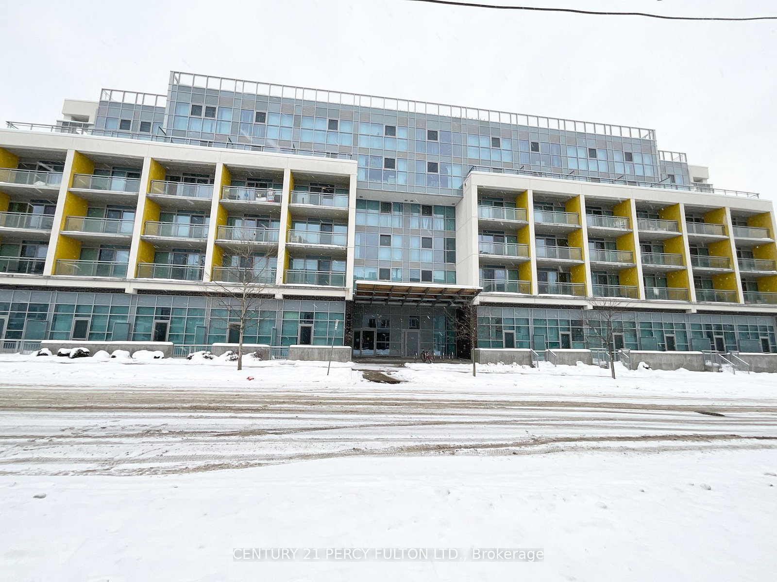 257-hemlock-street-waterloo-ontario-x12613496