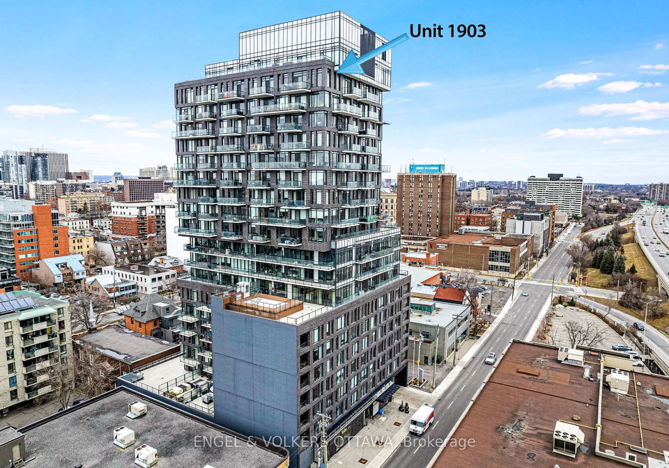 203-catherine-street-ottawa-ontario-x12616228