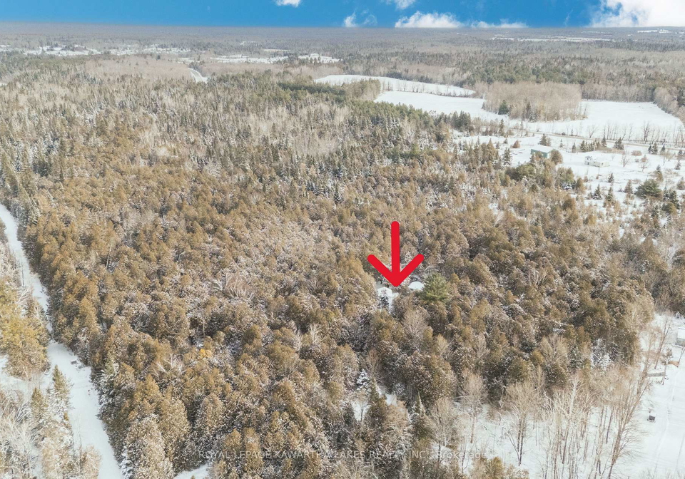 38-fell-station-drive-kawartha-lakes-ontario-x12625348