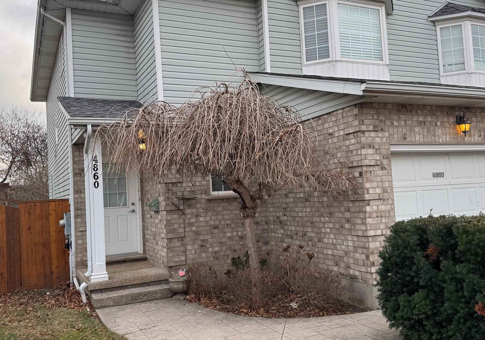 4860-windgate-drive-niagara-falls-ontario-x12629104