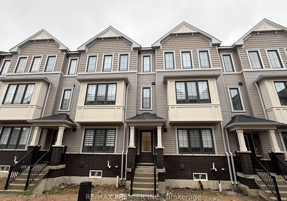 14-kingbird-common-cambridge-ontario-x12632954