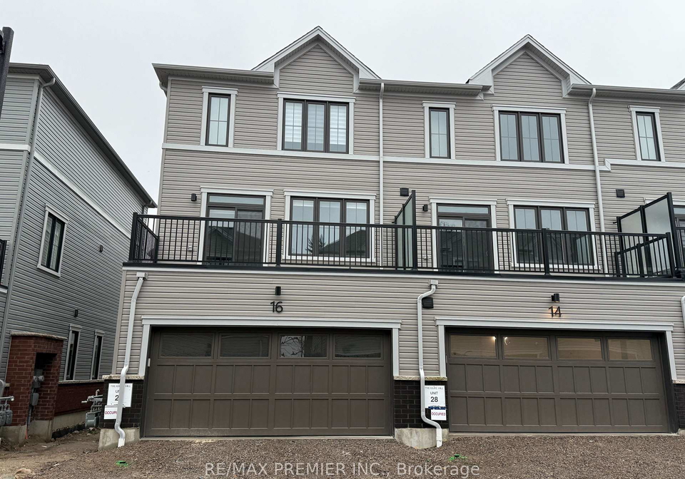 14-kingbird-common-cambridge-ontario-x12632954