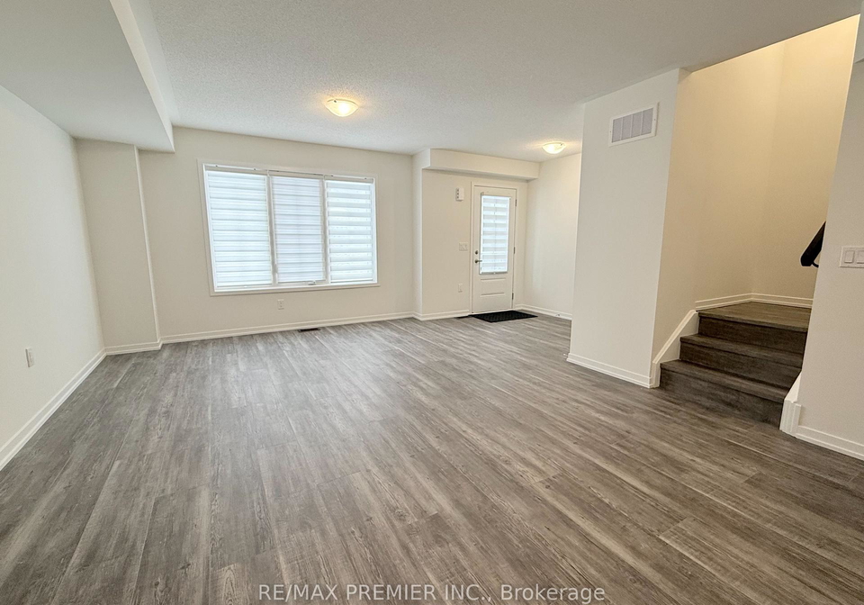 14-kingbird-common-cambridge-ontario-x12632954