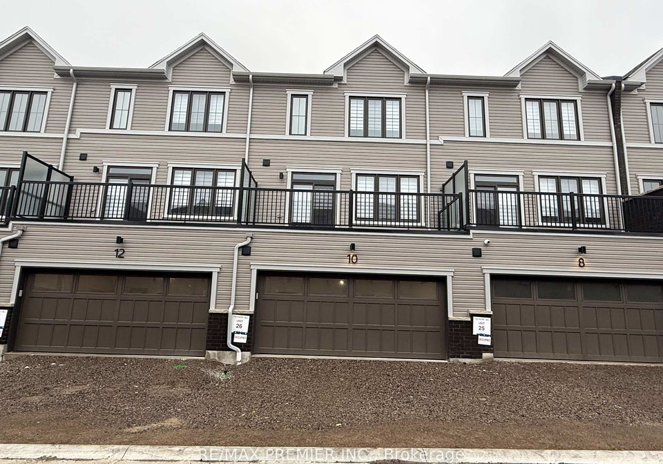 10-kingbird-common-cambridge-ontario-x12632978