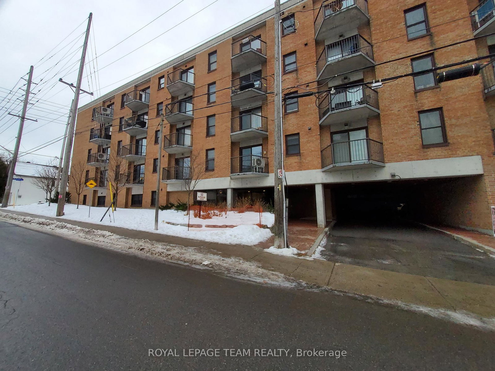 50-burnside-avenue-ottawa-ontario-x12644448