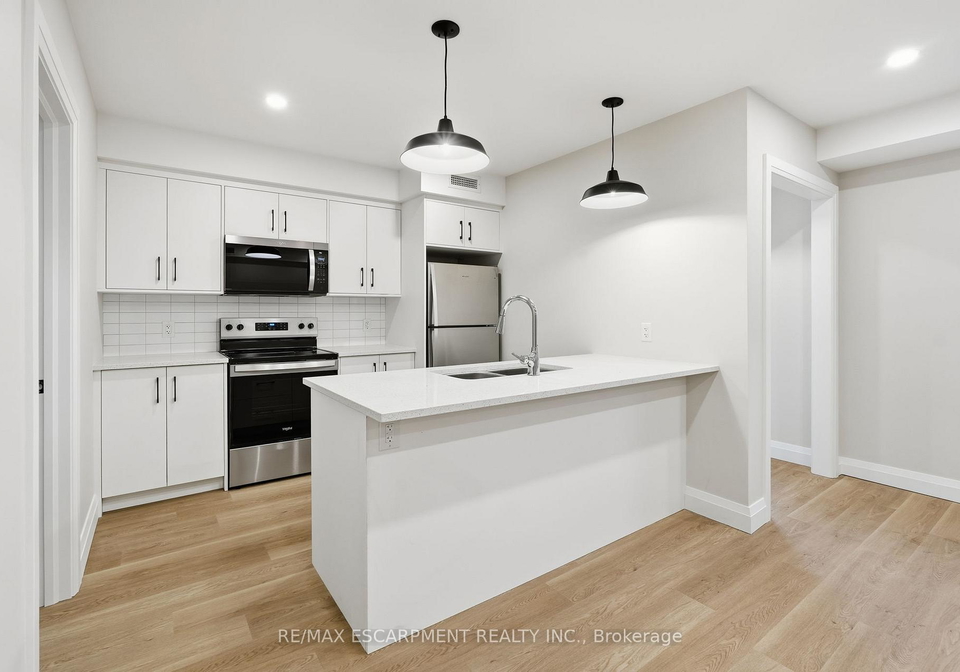 231-park-street-n-hamilton-ontario-x12651850