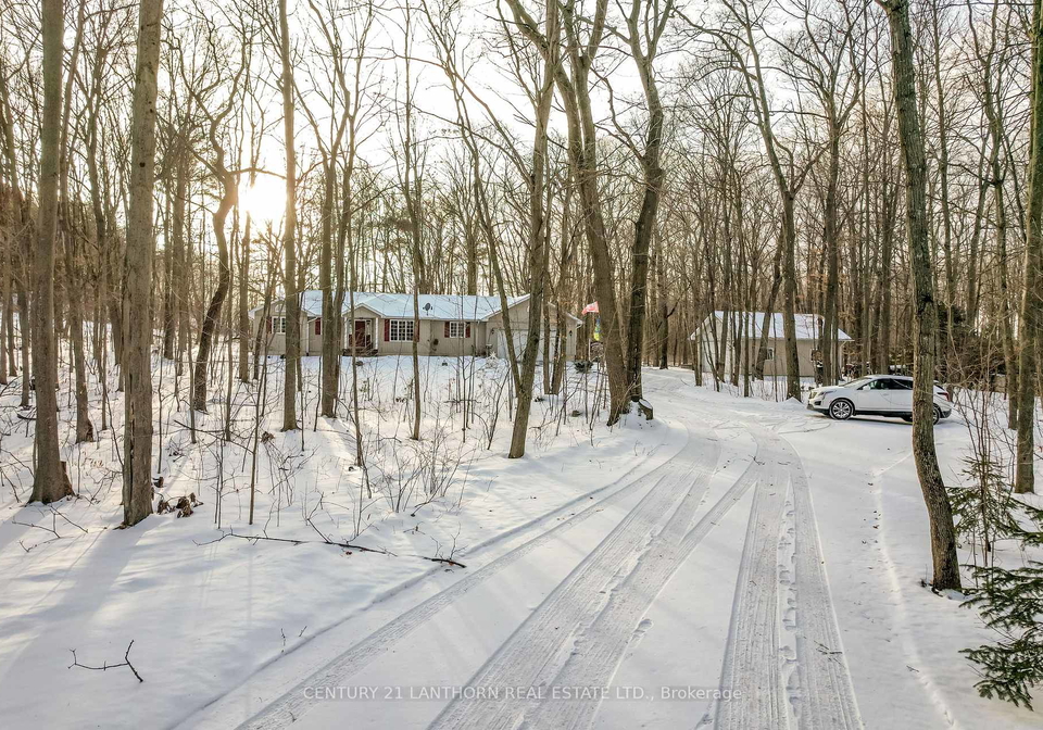 1726-county-26-road-brighton-ontario-x12656598