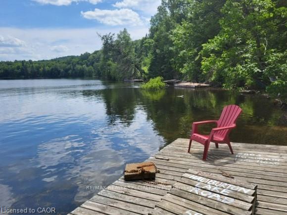 5803-haliburton-lake-road-dysart-et-al-ontario-x12659458