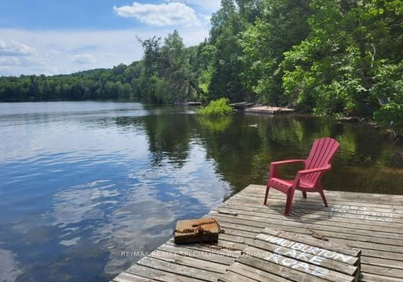 5803-haliburton-lake-road-dysart-et-al-ontario-x12659458