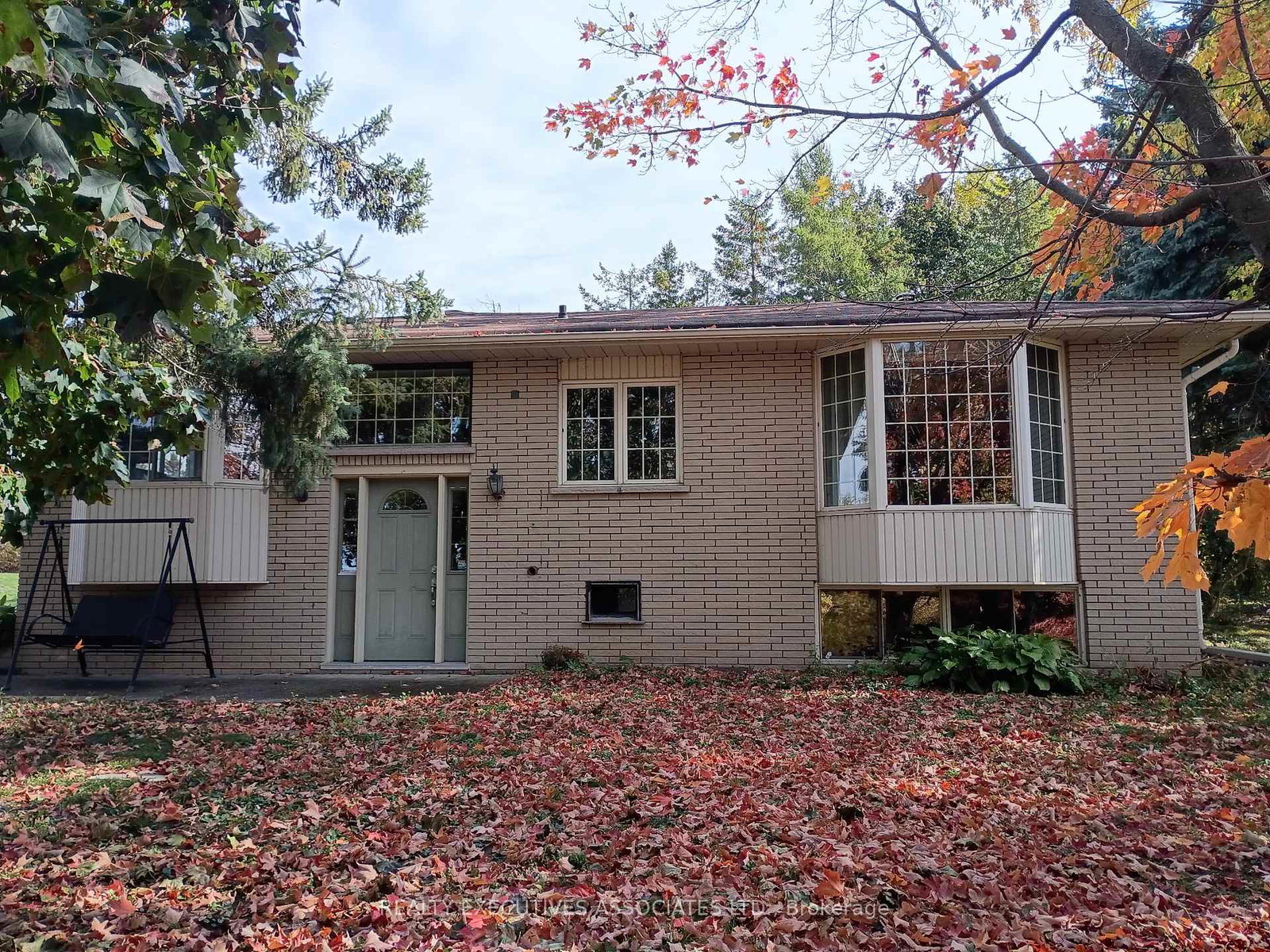 913-ward-street-selwyn-ontario-x12661470