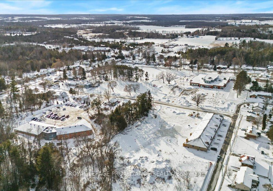 167-pomeroy-avenue-tweed-ontario-x12670892