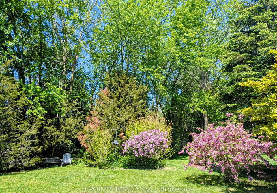 371-shannon-boulevard-south-huron-ontario-x12672750