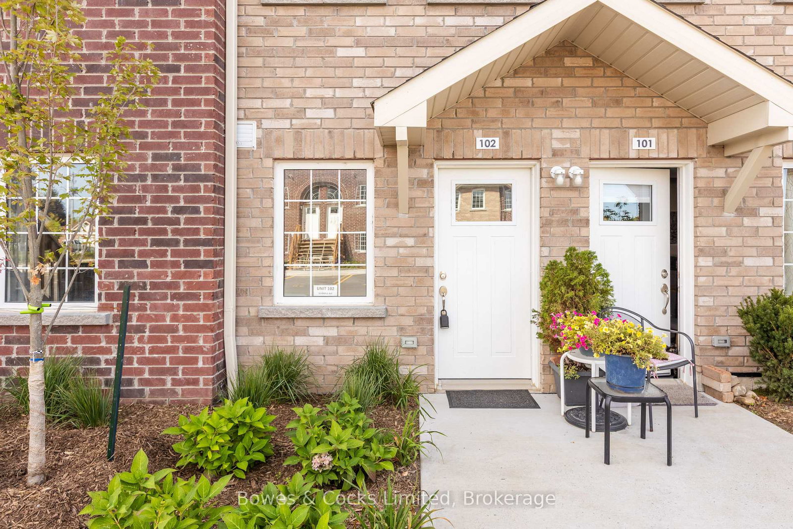 50-maple-avenue-asphodelnorwood-asphodel-norwood-ontario-x12674302