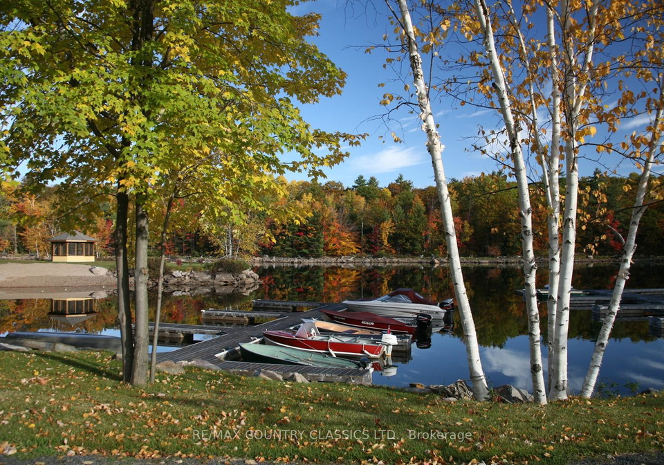 1579-anstruther-lake-road-north-kawartha-ontario-x12677602