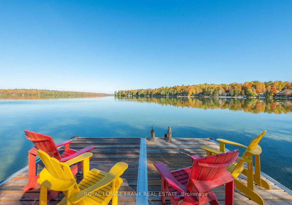 1187-lakehurst-road-trent-lakes-ontario-x12679908