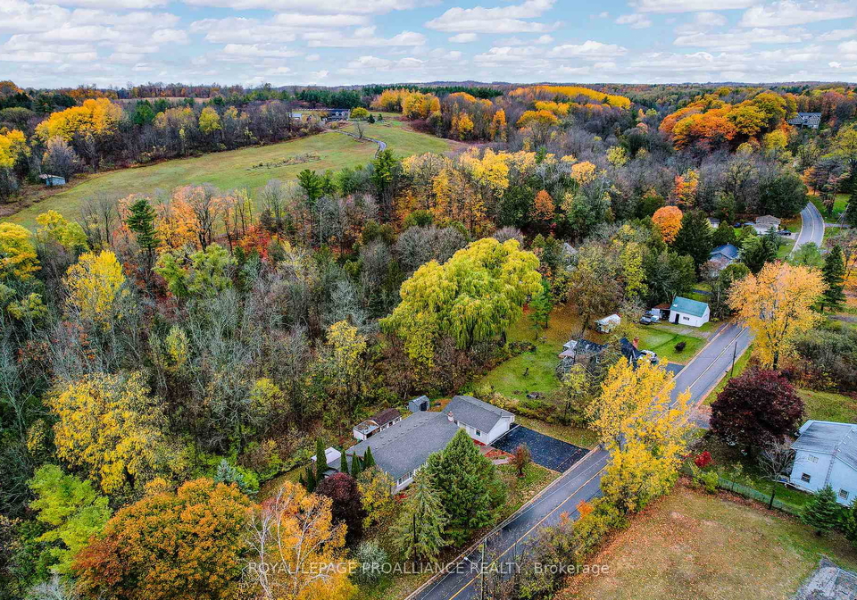 260-drewery-street-brighton-ontario-x12680202