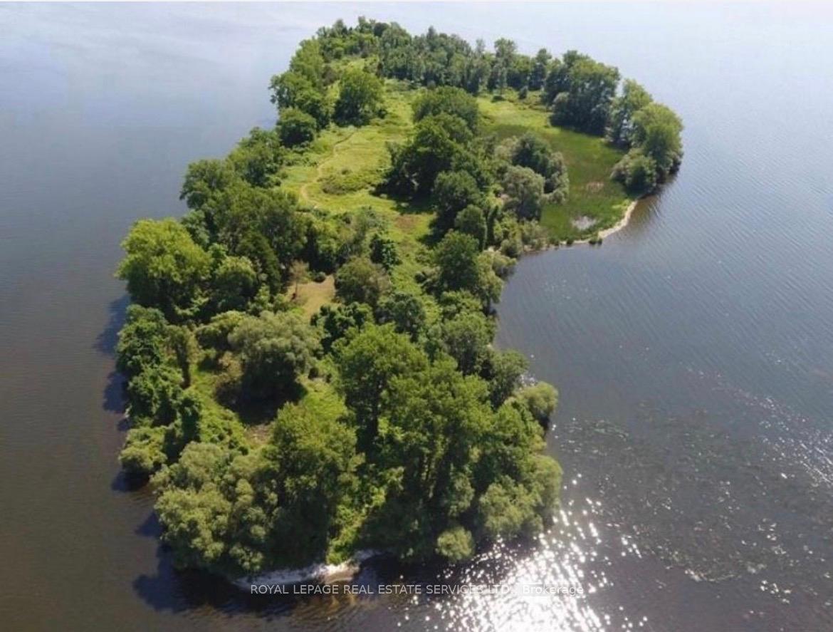 2-grape-island-prince-edward-county-ontario-x12680234
