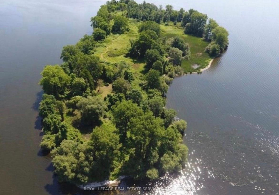 2-grape-island-prince-edward-county-ontario-x12680234