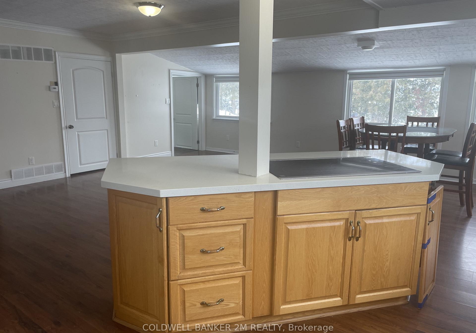 143-hazel-street-kawartha-lakes-ontario-x12680786