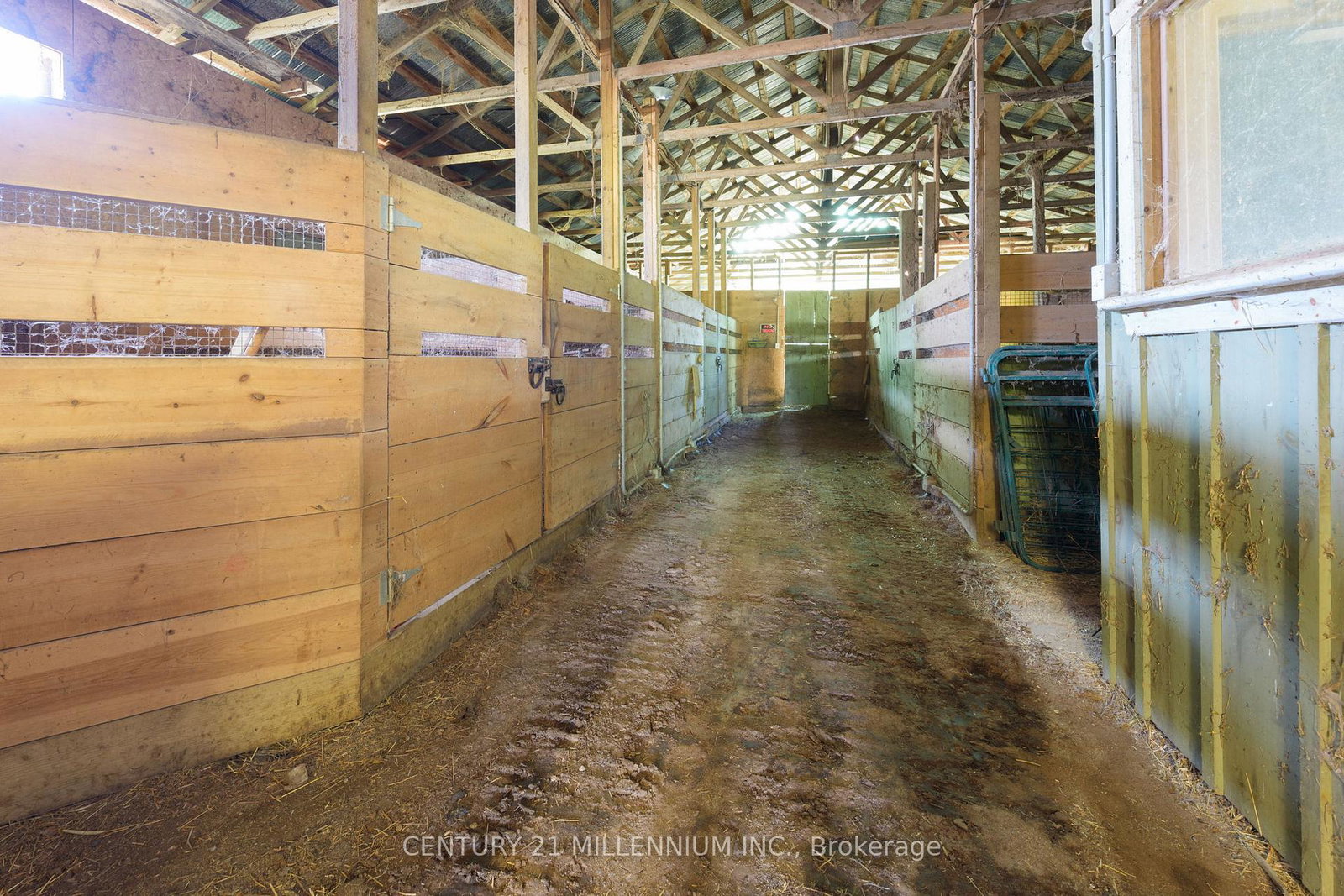 836100-4th-line-east-line-e-mulmur-ontario-x12682028