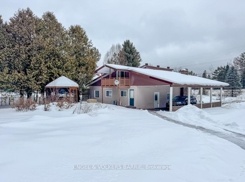 1007-dewey-street-highlands-east-ontario-x12687408