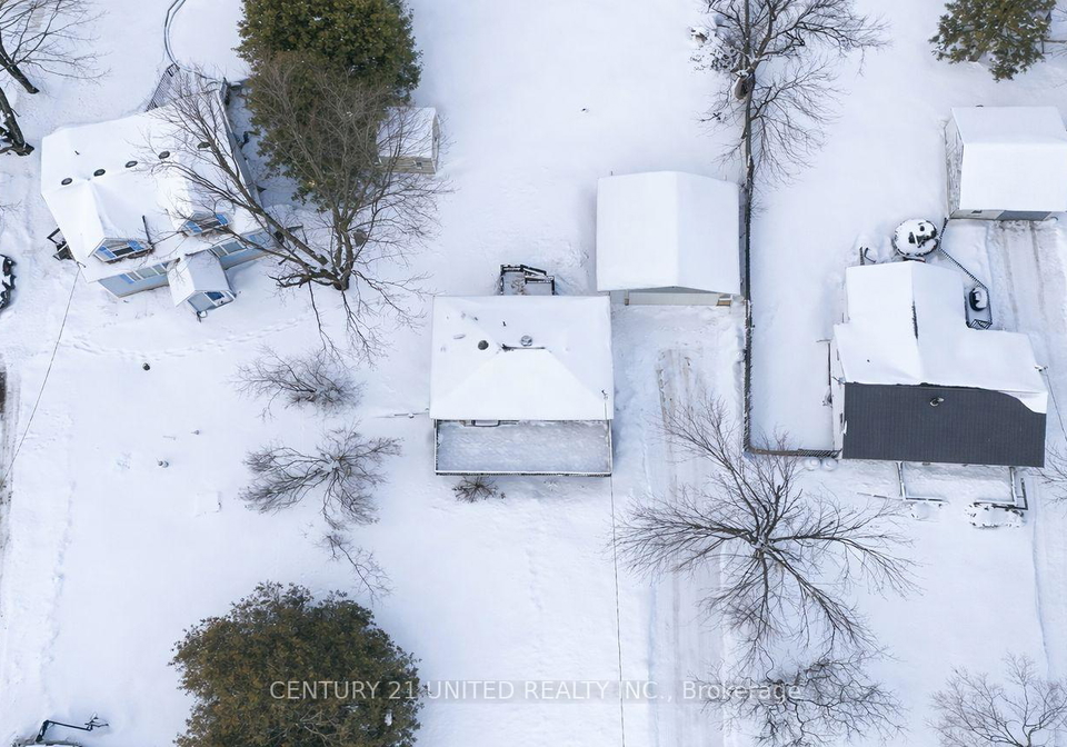 17-lawrence-street-s-kawartha-lakes-ontario-x12687634