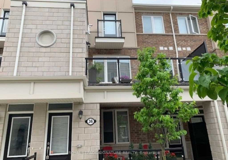 36-daylily-lane-kitchener-ontario-x12687912