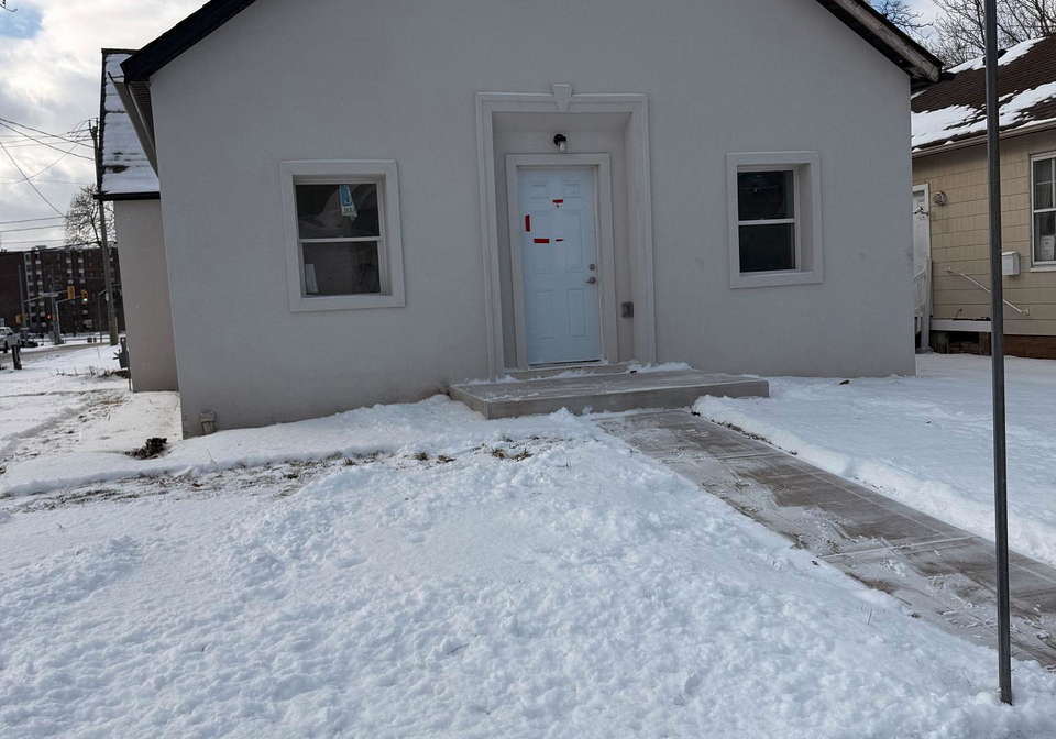 293-louis-avenue-windsor-ontario-x12689098