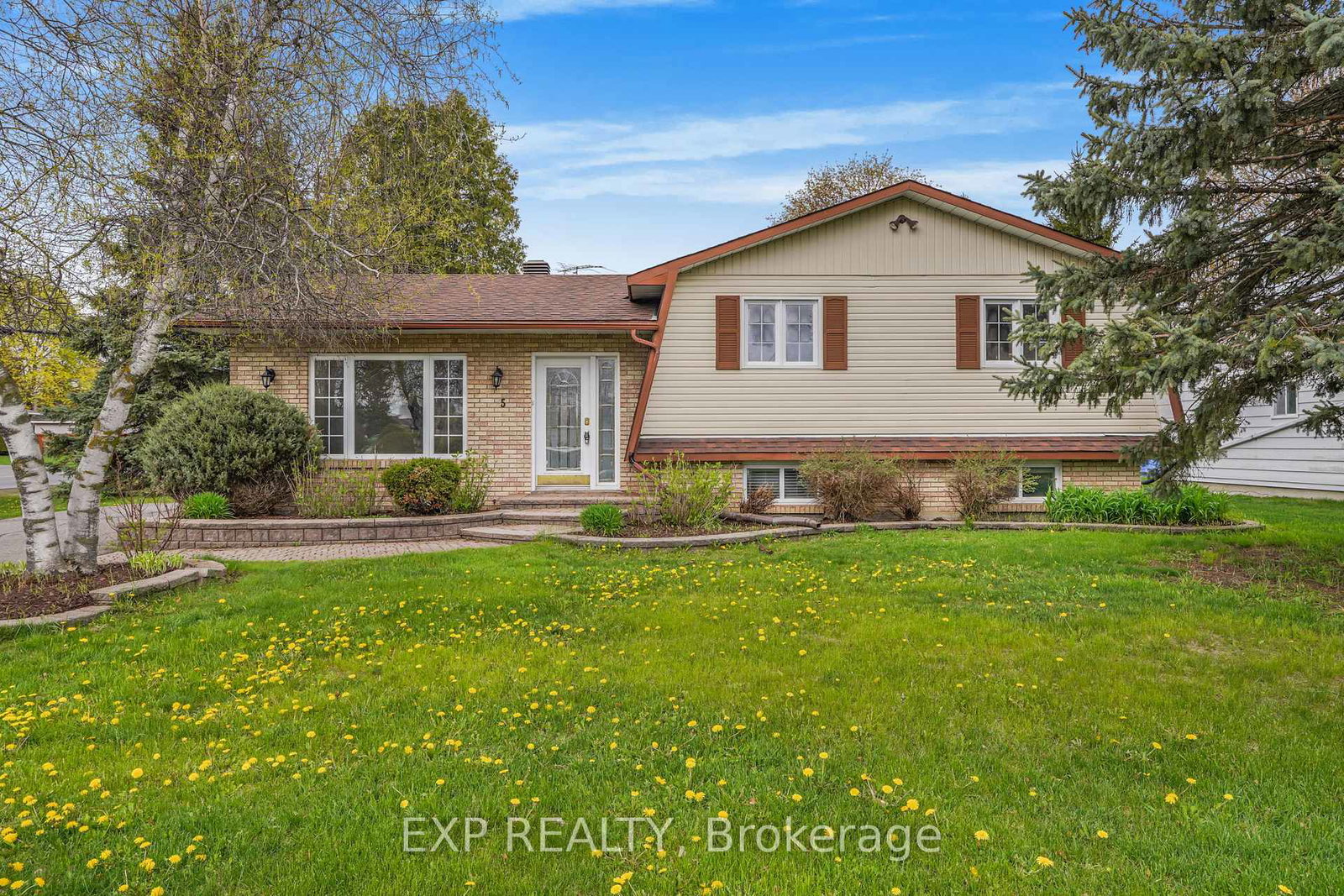 5-albert-street-casselman-ontario-x12689250