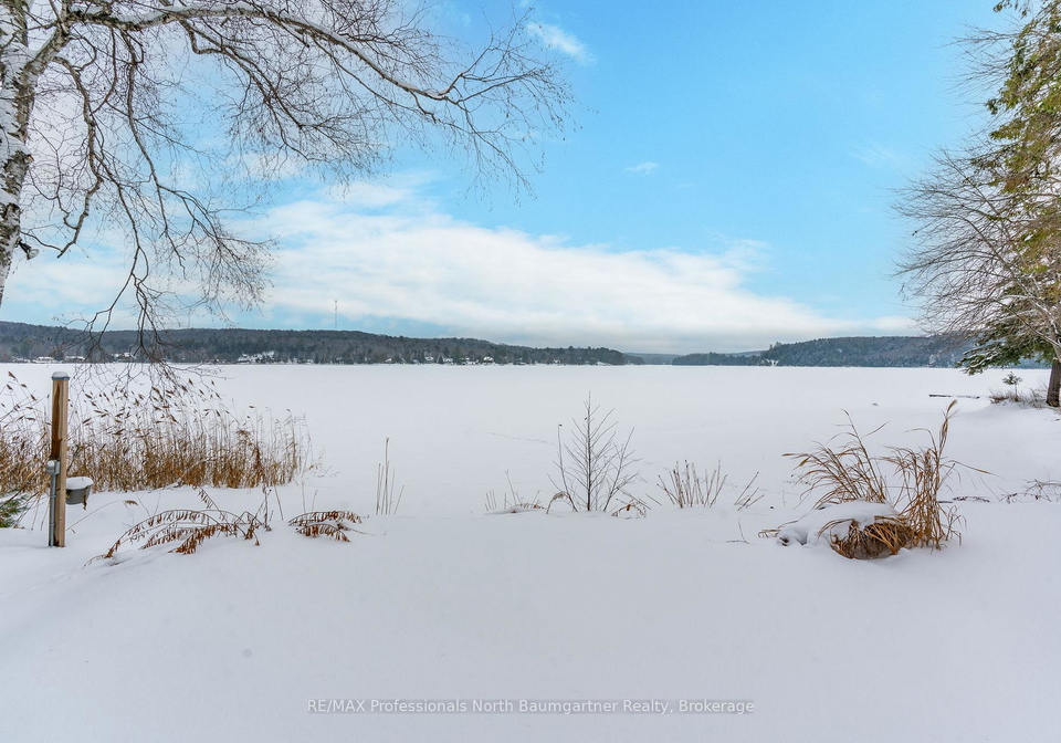 1015-blackberry-lane-minden-hills-ontario-x12694894