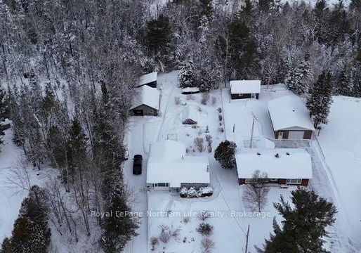 50-oconnor-drive-temagami-ontario-x12695614